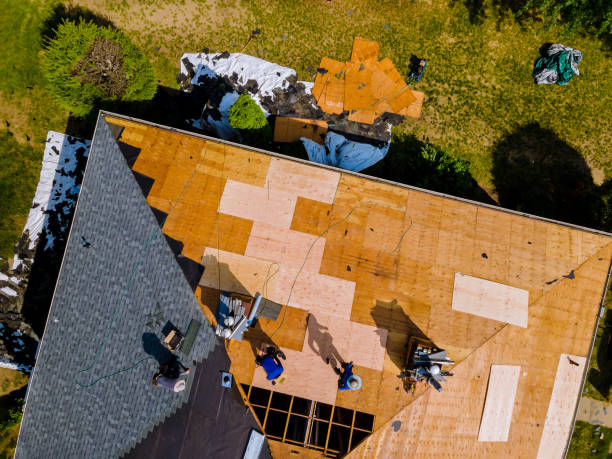 Best Local Roofing Companies  in Chicago Ridge, IL